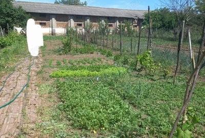 Casă cu 2 camere cu Teren 730 Mp în Olari - 1