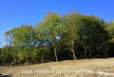 Teren de 1522 mp, în Vlădești - 4