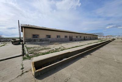 Spațiu comercial, în Medgidia - 11