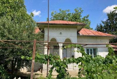 Vand 2248 mp (teren intravilan+ casa), Leu , jud Dolj livada pomi - 3