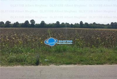 Teren Intravilan Herasti Giurgiu 2 HA - 4