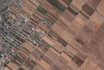 Teren agricol extravilan de 4997 mp, în Berceni - 2