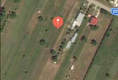 Teren de 10150 mp, în Cazasu - 1