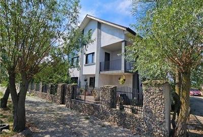 Vila superba, cu piscina, 970mp teren, D+P+E+M, gradina amenajata+pomi fructifer - 7