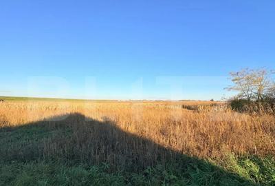 Teren de 1130 mp, în Vetiș - 2