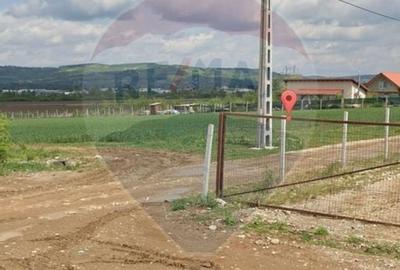 Teren Construcții intravilan de 2374 mp, în Cheriu - 11