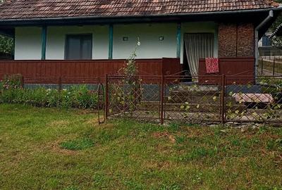 Casă în Petea