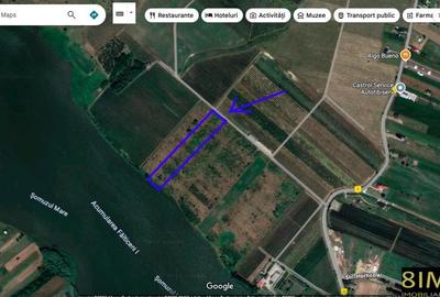 Teren 5000mp extravilan Tarna Mare - 1