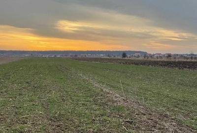 Teren de 3734 mp, în Gulia