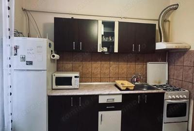 AV660 Apartament 1 camera, la curte, zona strazii Mangalia-Iosefin - 16