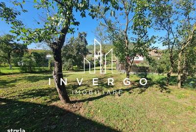 Casă cu 4 camere decomandat cu Teren 1200 Mp în Sava - 3