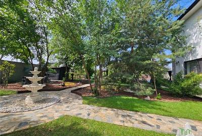 Vila superba, cu piscina, 970mp teren, D+P+E+M, gradina amenajata+pomi fructifer - 20