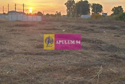 Teren construcție casă - 1 Decembrie - Zona Metropolitană București Teren construcție casă - 1 Decembrie - Zona Metropolitană București - 35