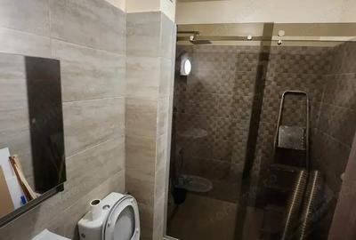 Garsonieră în Șagului