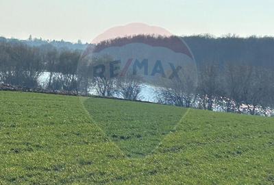 DE VANZARE intravilan LAC, Moara Vlasiei, Caldarusani TER... - 1