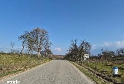 Teren de 1931 mp, în Nădrag - 8