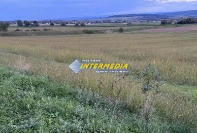 Teren de 2300 mp, în Mereteu - 3