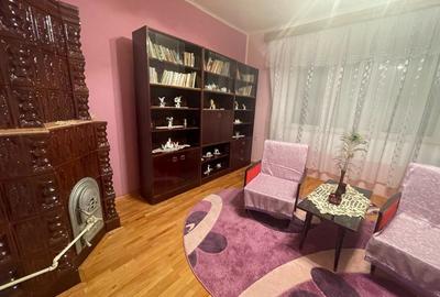 Casa P+1E Str. Baba Novac, Zona Teius – Caransebes - 4