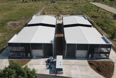 Zona Drumul intre Tarlale - hale noi - 600mp - 3