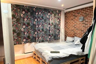 Apartament 2 camere Cismigiu - 3