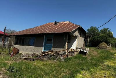 Casa batraneasca de vanzare - 4
