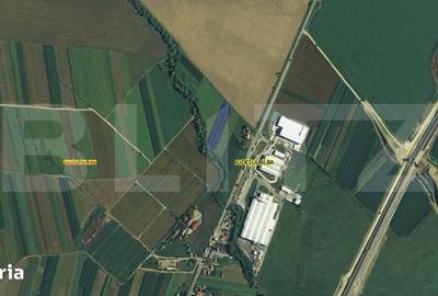 Teren de 3000 mp, în Galda de Jos - 2