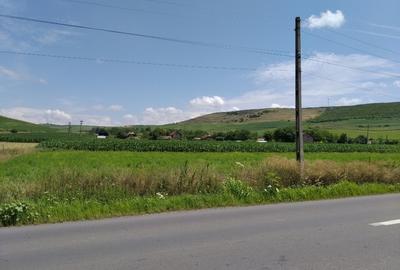 Teren Construcții intravilan de 6600 mp, în Mărășești - 4
