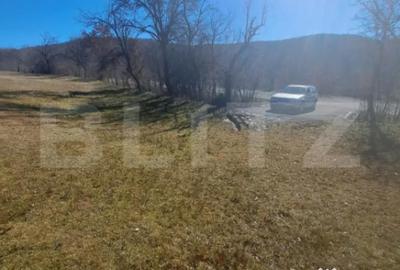 Teren de 5000 mp, în Almașu Mare - 3