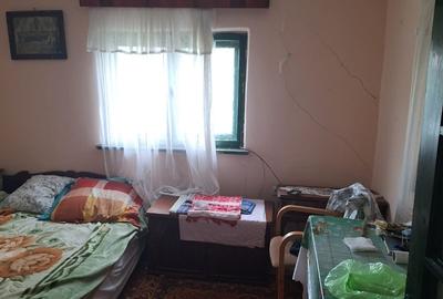 Vand casa teren 3000mp satul Gresia, Rosiorii de Vede, Teleorman - 8