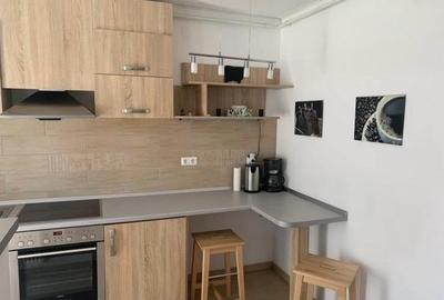 Vanzare studio open space- 36 mp - Turnisor - 5