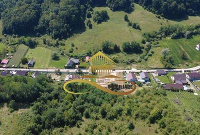 Teren 1ha + autorizatie de constructie - DE VANZARE - 2