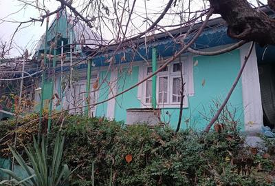 Vand casa Perieni - 10