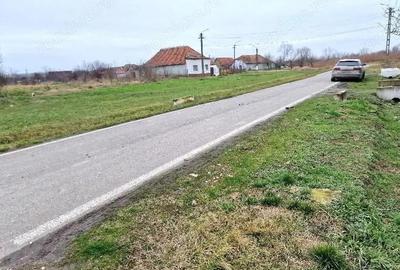 Cota 1/2 casa si teren Pustini?, jud. Timi?-id R1992745 - 1