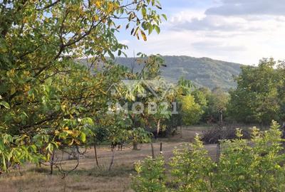 Teren spectaculos cu padure, livada si priveliste panoramica in Soimari PH - 7