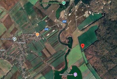 Teren agricol intravilan de 17900 mp, în Răcari - 3