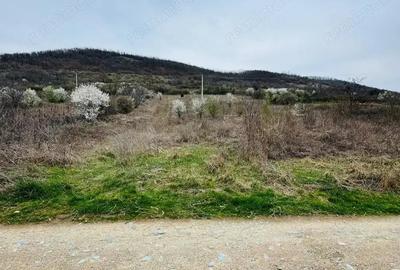 AV644 Teren intravilan, BERZASCA-DUNARE, 6042mp, posibilitate investitie turism - 6