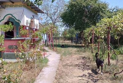 Casă cu 4 camere cu Teren 2800 Mp în Mozăceni - 1