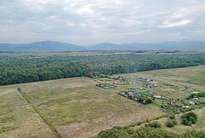 Teren Extravilan - 17