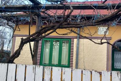 Casă cu 3 camere în Silistraru - 1