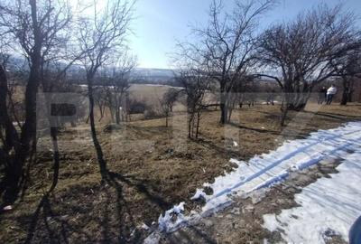 Teren de 2500 mp, în Central - 5