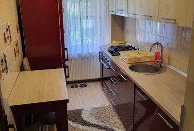 Apartament cu 3 camere decomandat în Triaj - 12