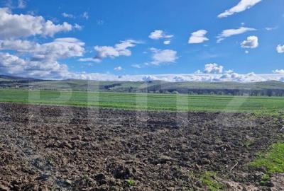 Teren de 15000 mp, în Central