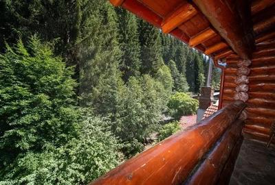 Pensiune de excep?ie de vanzare Moeciu de Sus, Bra?ov - 4