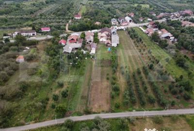 Casă cu 4 camere cu Teren 2360 Mp în Central - 5