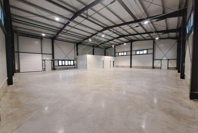 COM 0% Hale servicii, birouri și depozitare de inchiriat  | Giarmata-Vii - 1