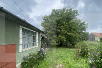 Casa tradi?ionala cu teren generos Belin - 7