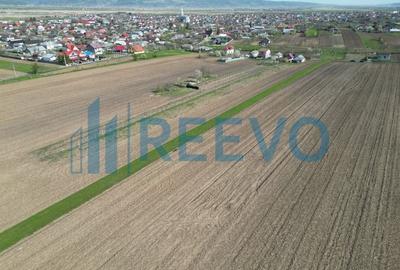 Teren de vânzare, Com. Nicolae Bălcescu, Jud. Bacău - 11