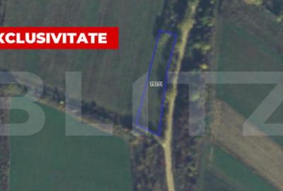 Teren de 921 mp, în Central