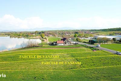 Spațiu comercial, în Rotbav
