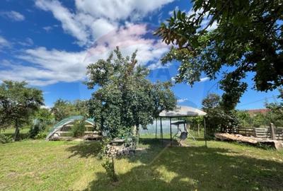 Casa str. Progresului , Sebes, destinatie : uni/multifam... - 28